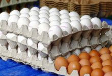 Governo diz que em Portugal não há ovos contaminados