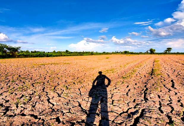 Agricultores do Norte de Portugal precisam de fevereiro chuvoso para salvar próximas culturas