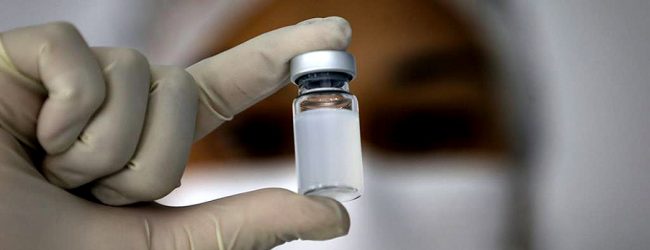 Biotecnológica portuguesa Immunethep cria vacina e tratamento para infeções bacterianas