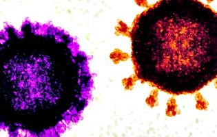 OMS diz que casos de ‘Flurona’ não elevam risco de novas variantes mais perigosas de SARS-CoV-2