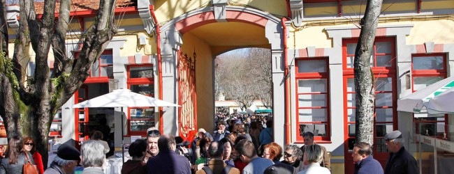 Concessão de lojas no mercado municipal de Vila do Conde
