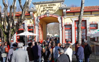 Prazo de candidaturas a lojas no Mercado Municipal de Vila do Conde prorrogado