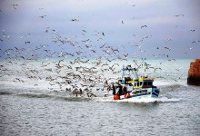 Missas por pescador das Caxinas desaparecido na Irlanda
