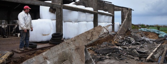 Governo apoia explorações agrícolas atingidas por mau tempo em Vila Chã