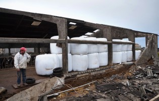 Ministério da Agricultura garante 50% dos prejuízos do tornado de Vila Chã