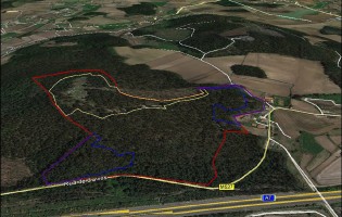 Câmara de Vila do Conde faz limpeza florestal na Cividade de Bagunte