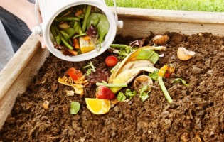 Curso de Compostagem Caseira com oferta do compostor