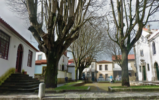 Queda de árvore danifica carro da PSP de Vila do Conde
