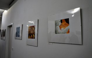Francisco Cunha inaugura exposição na Linha de Base
