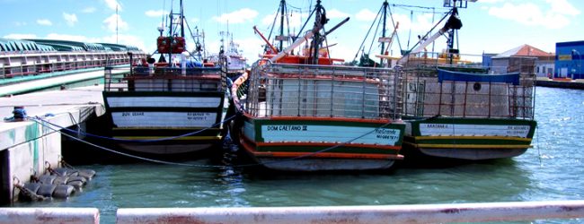 Crédito Agrícola e Pró Maior Segurança dos Homens do Mar assinam protocolo para beneficiar pescadores