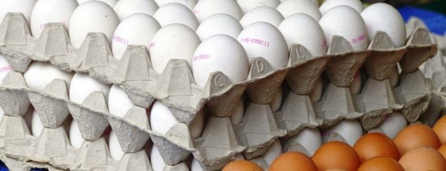 Governo diz que em Portugal não há ovos contaminados