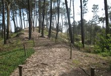 FAPAS denuncia “erros ambientais” na Reserva Ornitológica de Mindelo de Vila do Conde