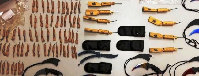 Busca da PSP descobre 210 petardos e 11 armas brancas em casa de jovem de Vila do Conde