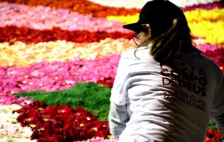 Vila do Conde representa Portugal em Itália nos tapetes de flores “Pietra Ligure in fiore”