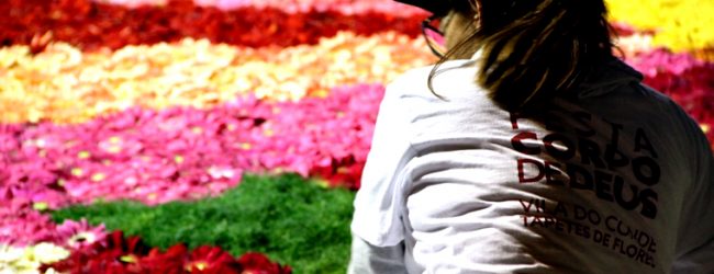 Vila do Conde representa Portugal em Itália nos tapetes de flores “Pietra Ligure in fiore”