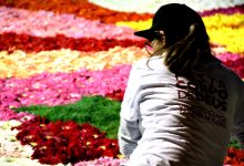 Vila do Conde representa Portugal em Itália nos tapetes de flores Pietra Ligure in fiore