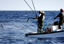 Ministro do Mar pede a Bruxelas medidas reforçadas para apoiar Pesca e Aquicultura