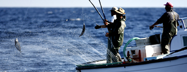 Ministro do Mar pede a Bruxelas medidas reforçadas para apoiar Pesca e Aquicultura