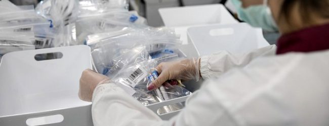 Dados da DGS dizem que Vila do Conde mantém os 202 casos de Covid-19 e a Póvoa de Varzim 90