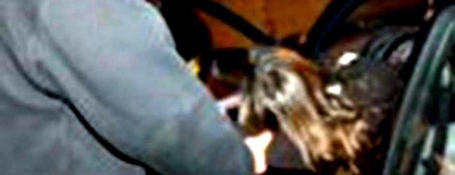 Jovem detido por ‘carjacking’ em Vila do Conde