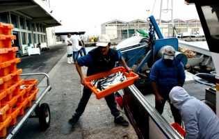5 pescadores infetados com Covid-19 e 40 em isolamento em Vila do Conde e Póvoa de Varzim