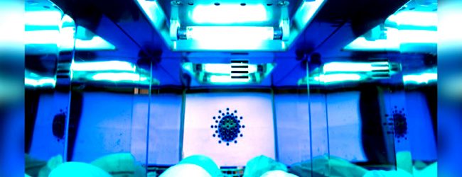Empresa japonesa lança lâmpada UV inócua para humanos que inativa 99% do novo coronavírus