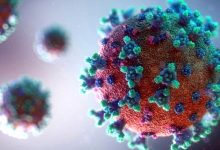 Portugal regista mais três mortes e 605 novos casos de infeção devido à pandemia de Covid-19