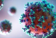 Portugal regista hoje mais 8 mortes e 884 novos casos de infeção devido à pandemia de Covid-19