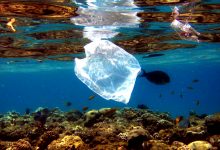 Relatório acusa empresas que usam plástico descartável de sabotar leis e iludir consumidores