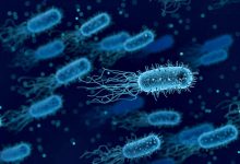ARS-N diz que surto de Legionella no Grande Porto está com “diminuição acentuada” de casos