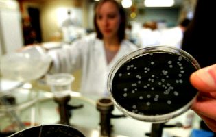 Análises feitas mostram ausência de ligação entre novo surto de Legionella e a água de Matosinhos
