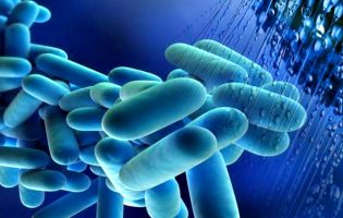 PCP questiona Governo sobre surto de Legionella em Vila do Conde, Póvoa de Varzim e Matosinhos