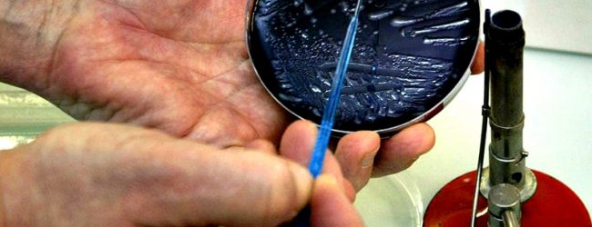 PEV quer medidas para travar surto de Legionella em Vila do Conde, Póvoa de Varzim e Matosinhos