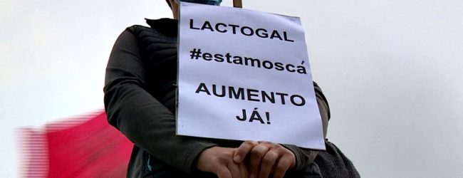 Trabalhadores da Lactogal de Vila do Conde fazem nova greve por aumentos salariais