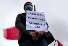 Greve de trabalhadores da Lactogal com 60% a 70% de adesão na unidade de Vila do Conde