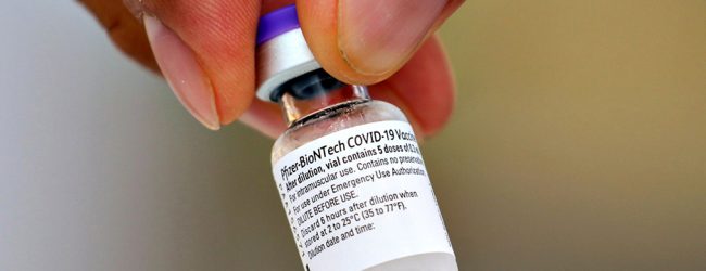4 cientistas portugueses esclarecem dúvidas sobre vacinas contra a Covid-19 em vídeos