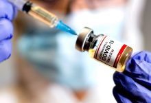 Estudo do Hospital São João revela que 95 a 97% dos vacinados apresentam anticorpos em 15 dias
