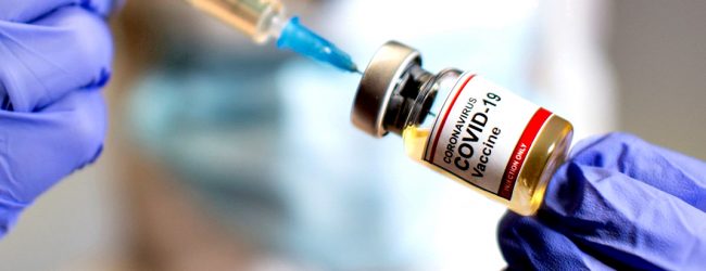 Estudo do Hospital São João revela que 95 a 97% dos vacinados apresentam anticorpos em 15 dias