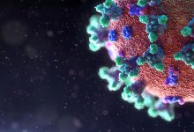Índice de Transmissão do vírus SARS-CoV-2 em Portugal em crescimento e acima de 1 há 24 dias