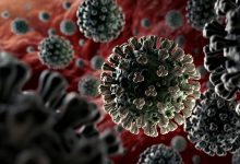 Portugal contabiliza mais 127 óbitos e 2.324 novos casos de infeção devido à pandemia de Covid-19