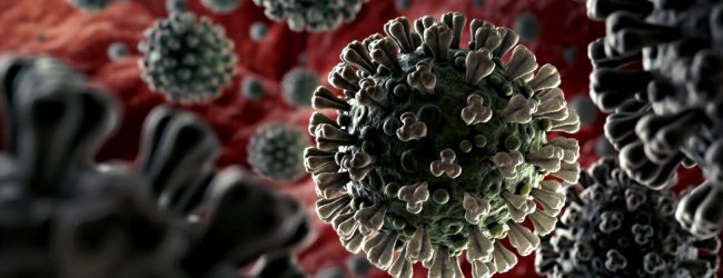 Portugal contabiliza mais 127 óbitos e 2.324 novos casos de infeção devido à pandemia de Covid-19