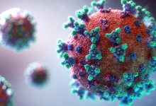 Portugal contabiliza mais 76 óbitos e 1.570 novos casos de infeção devido à pandemia de Covid-19