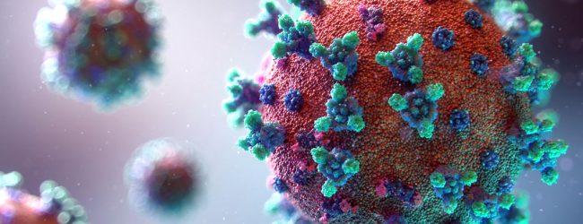 Portugal contabiliza mais 76 óbitos e 1.570 novos casos de infeção devido à pandemia de Covid-19