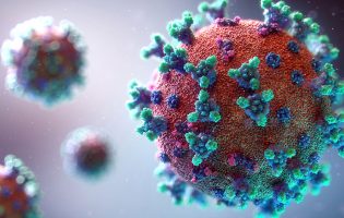 Portugal contabiliza mais 11 óbitos e 575 novos casos de infeção devido à pandemia de Covid-19
