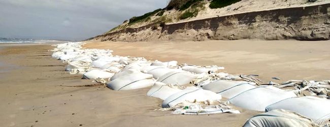 APA notifica empresa para que recolha sacos de plástico da praia da Estela na Póvoa de Varzim