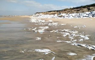 PAN denuncia poluição por sacos plásticos em praia da freguesia da Estela na Póvoa de Varzim