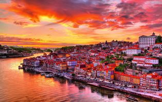 Porto é a primeira cidade portuguesa com a maior área de parques e jardins por pessoa