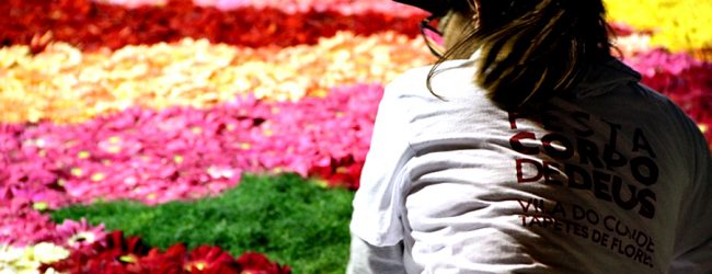 Vila do Conde não faz Tapetes de Flores mas evoca tradição a 3 de junho no Corpo de Deus