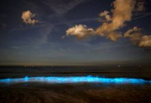 Alga Noctiluca Scintillans dá bioluminescência ao mar da praia das Caxinas em Vila do Conde