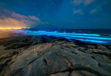 Alga Noctiluca Scintillans dá bioluminescência ao mar na freguesia de Vila Chã em Vila do Conde
